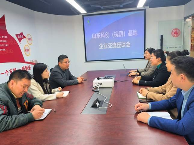 山东科创(槐荫)基地与孚恩租赁召开座谈会，加强交流合作